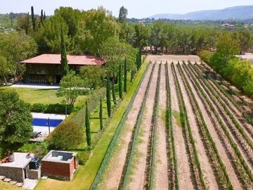 CASA CON VIÑEDO EN VENTA / SAN MIGUEL DE ALLENDE / RANCHO LA LOMA