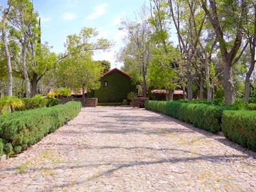 CASA CON VIÑEDO EN VENTA / SAN MIGUEL DE ALLENDE / RANCHO LA LOMA