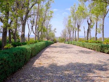 CASA CON VIÑEDO EN VENTA / SAN MIGUEL DE ALLENDE / RANCHO LA LOMA