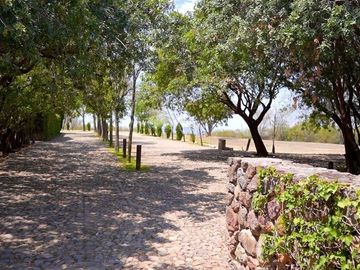 CASA CON VIÑEDO EN VENTA / SAN MIGUEL DE ALLENDE / RANCHO LA LOMA