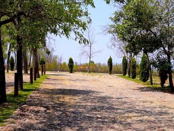 CASA CON VIÑEDO EN VENTA / SAN MIGUEL DE ALLENDE / RANCHO LA LOMA