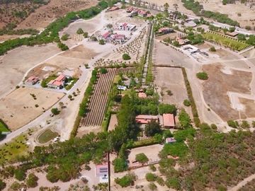 CASA CON VIÑEDO EN VENTA / SAN MIGUEL DE ALLENDE / RANCHO LA LOMA