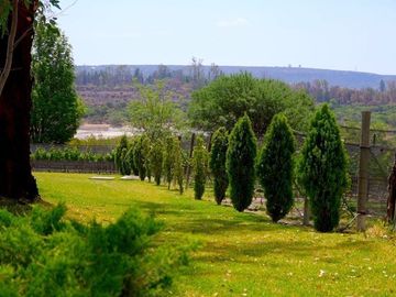 CASA CON VIÑEDO EN VENTA / SAN MIGUEL DE ALLENDE / RANCHO LA LOMA