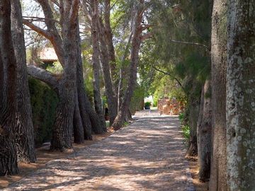 CASA CON VIÑEDO EN VENTA / SAN MIGUEL DE ALLENDE / RANCHO LA LOMA