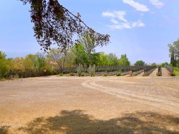 CASA CON VIÑEDO EN VENTA / SAN MIGUEL DE ALLENDE / RANCHO LA LOMA