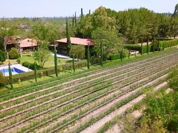 CASA CON VIÑEDO EN VENTA / SAN MIGUEL DE ALLENDE / RANCHO LA LOMA