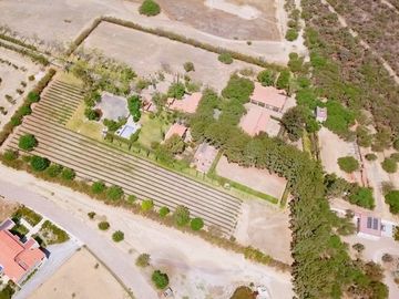 CASA CON VIÑEDO EN VENTA / SAN MIGUEL DE ALLENDE / RANCHO LA LOMA
