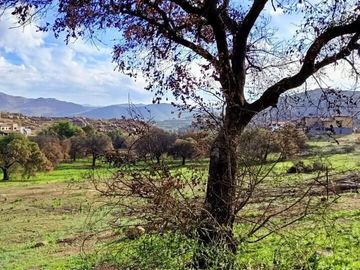 PROPIEDAD EN VENTA DE  1100 m2 | RANCHO TECATE