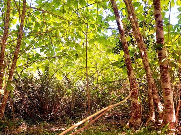 Venta de Quinta tipo Chacra en Escobar