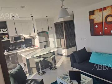 RENTA DE DEPARTAMENTO AMUEBLADO EN SAN FELIPE TORRE BRIONES