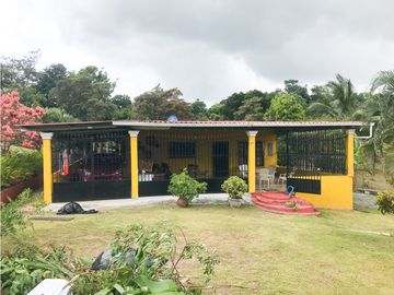 VENTA O ALQUILER DE CASA CAMPO EN LA PINTADA
