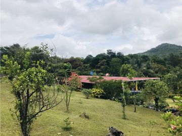 VENTA O ALQUILER DE CASA CAMPO EN LA PINTADA