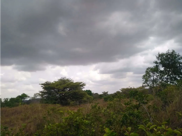 CHORRERA / LA ARENOSA / FINCA / 78 HECTAREAS / CERCA DEL LAGO GATUN