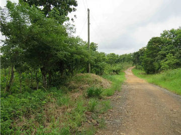 CHORRERA / LA ARENOSA / FINCA / 78 HECTAREAS / CERCA DEL LAGO GATUN
