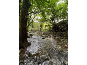 CHORRERA / LA ARENOSA / FINCA / 78 HECTAREAS / CERCA DEL LAGO GATUN