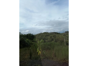 CHORRERA / LA ARENOSA / FINCA / 78 HECTAREAS / CERCA DEL LAGO GATUN