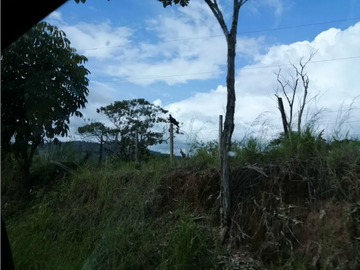 CHORRERA / LA ARENOSA / FINCA / 78 HECTAREAS / CERCA DEL LAGO GATUN