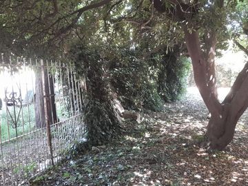 Casa en venta refaccionar o reciclar en Garin