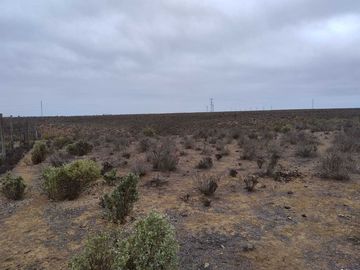 Parcela en venta en COQUIMBO