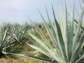 Reventa Lotes comerciales de inversion en Telchac, Plusvalia inmediata!