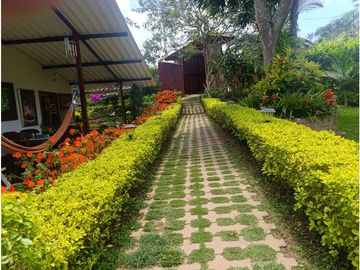 FINCA VENTA LOS PIRINEOS KM 37 VIA QUEREMAL DAGUA