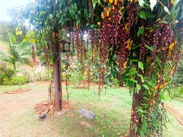 FINCA VENTA LOS PIRINEOS KM 37 VIA QUEREMAL DAGUA