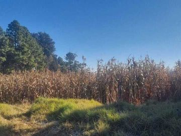 Se Vende Terreno en Metepec