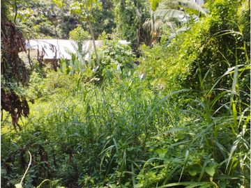 SE VENDE CASA EN YURIMAGUAS, LORETO