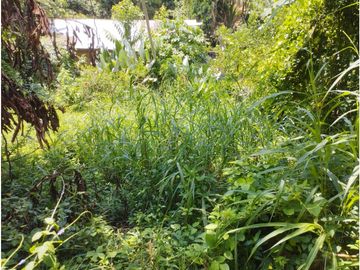 SE VENDE CASA EN YURIMAGUAS, LORETO