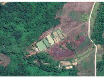 SE VENDE TERRENO RUSTICO CON PISCIGRANJAS EN YURIMAGUAS, LORETO