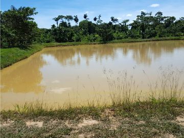 SE VENDE TERRENO RUSTICO CON PISCIGRANJAS EN YURIMAGUAS, LORETO