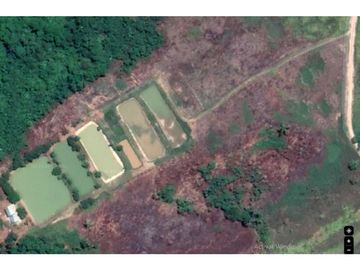 SE VENDE TERRENO RUSTICO CON PISCIGRANJAS EN YURIMAGUAS, LORETO