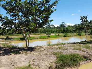 SE VENDE TERRENO RUSTICO CON PISCIGRANJAS EN YURIMAGUAS, LORETO