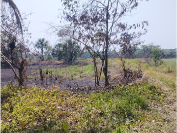 SE VENDE TERRENO RUSTICO CON PISCIGRANJAS EN YURIMAGUAS, LORETO