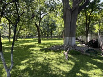 Venta Casa de Un Nivel excelente para Hotel Boutique o Asilo en Xochitepec,  Morelos