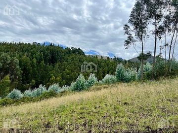 TERRENO AGRICOLA EN VENTA TABACUNDO
