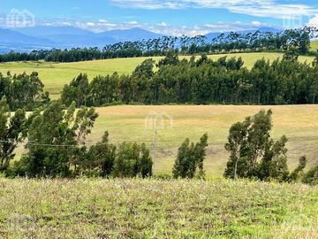 TERRENO AGRICOLA EN VENTA TABACUNDO
