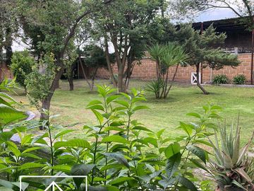 Rancho en Teoloyucan F
