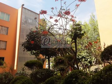 Venta Departamento, Pedregal de Carrasco, 3 recámaras
