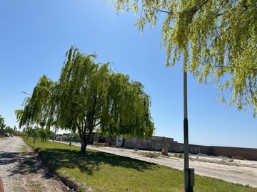 LOTES PREMIUM 