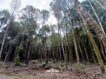 Parcela en Venta en Fundo las cumbres
