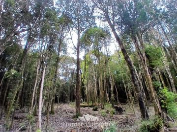 Parcela en Venta en Fundo las cumbres