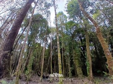 Parcela en Venta en Fundo las cumbres