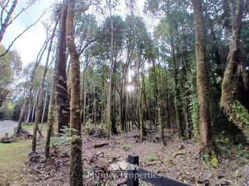 Parcela en Venta en Fundo las cumbres