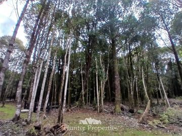 Parcela en Venta en Fundo las cumbres
