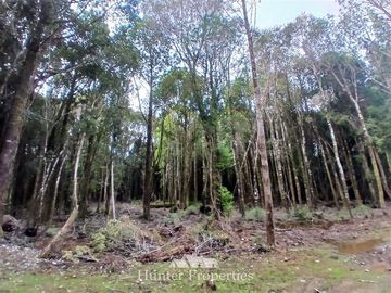Parcela en Venta en Fundo las cumbres