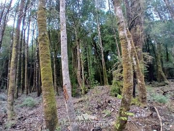 Parcela en Venta en Fundo las cumbres