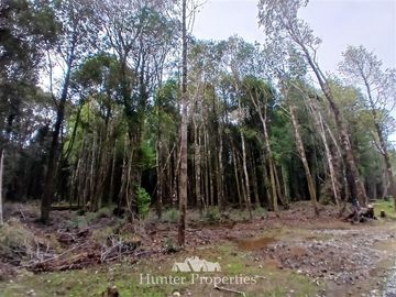 Parcela en Venta en Fundo las cumbres