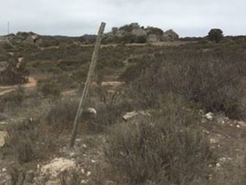 Sitio en Venta en El Panul - La Herradura