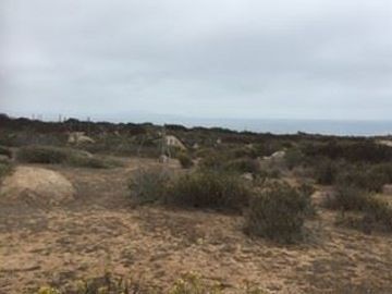 Sitio en Venta en El Panul - La Herradura
